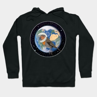 Robin Redbreast in Space Bird Illustration Hoodie